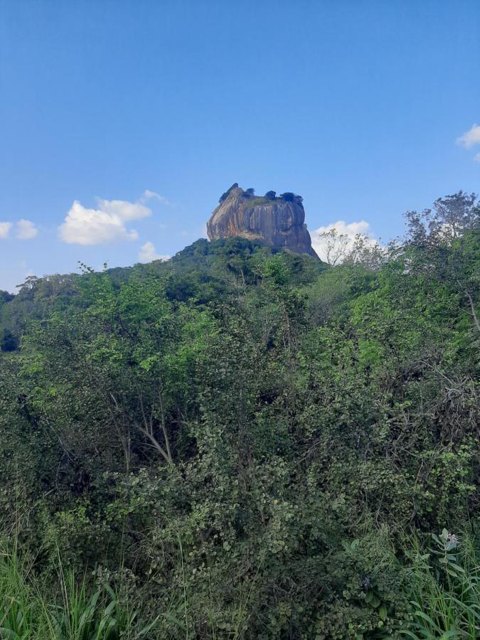 Hotel Chanara Sigiriya Bagian luar foto